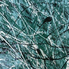 Sonar (Sam Jackson, Kyle Schmider)