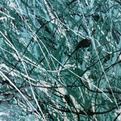 Endless(Sam Jackson, Kyle Schmider,Erik Vegeto)