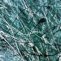 Forge(Sam Jackson, Kyle Schmider,Erik Vageto)