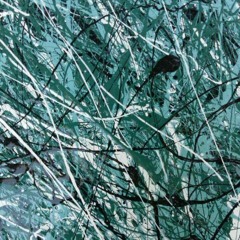 Self Actualization(Sam Jackson, Kyle Schmider,Erik Vageto)