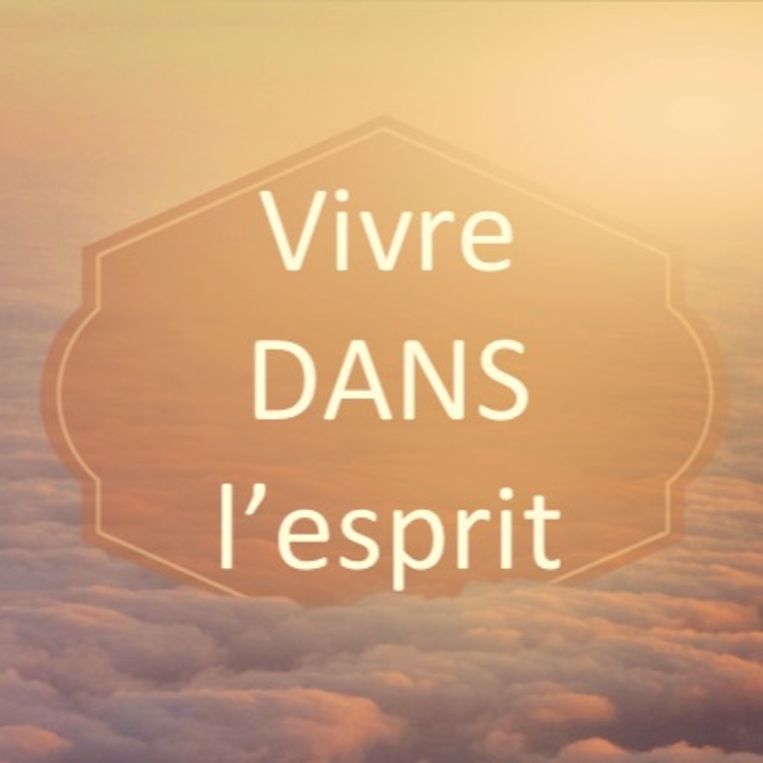 Vivre dans l'esprit#3- 14 Août 2016-Pst David Théry episode artwork