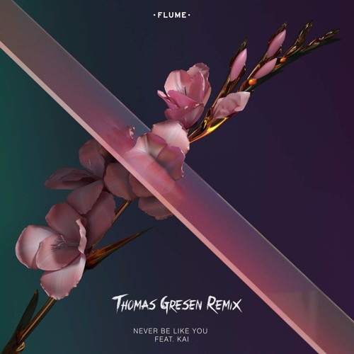 Flume ft Kai - Never Be Like You (Thomas Gresen Remix)[BUY = FREE DL]