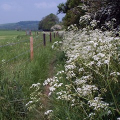 O the deep deep love of Jesus