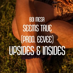 Seems True (Prod. EEVEE)