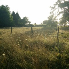 Perdu et retrouvé (compo)