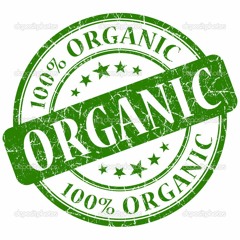 Organic Loop (jammin)