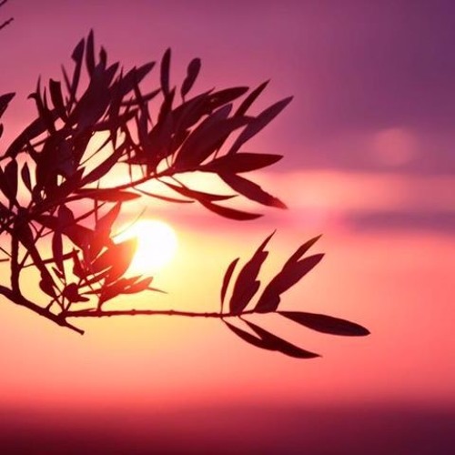 صدق الله العلي