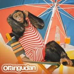 Orangudan - Summer Breaks