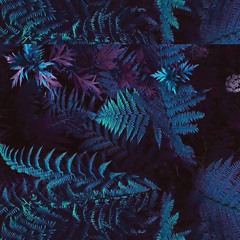 Para passar a noite lendo