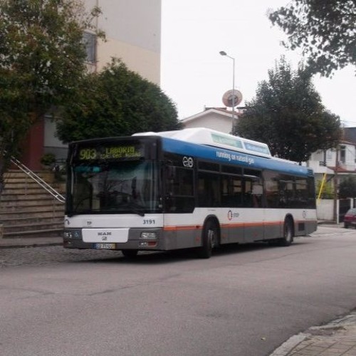 3191 Stcp 907 By Transportes 3191 Mundo