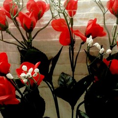 Everton Street (Lovers Rock 80's Style taken from the album 2013)