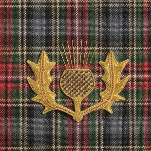 Чертополох Thistle шотландский