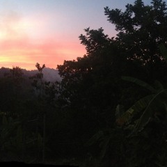 // ｗａｒｎｉｎｇ //