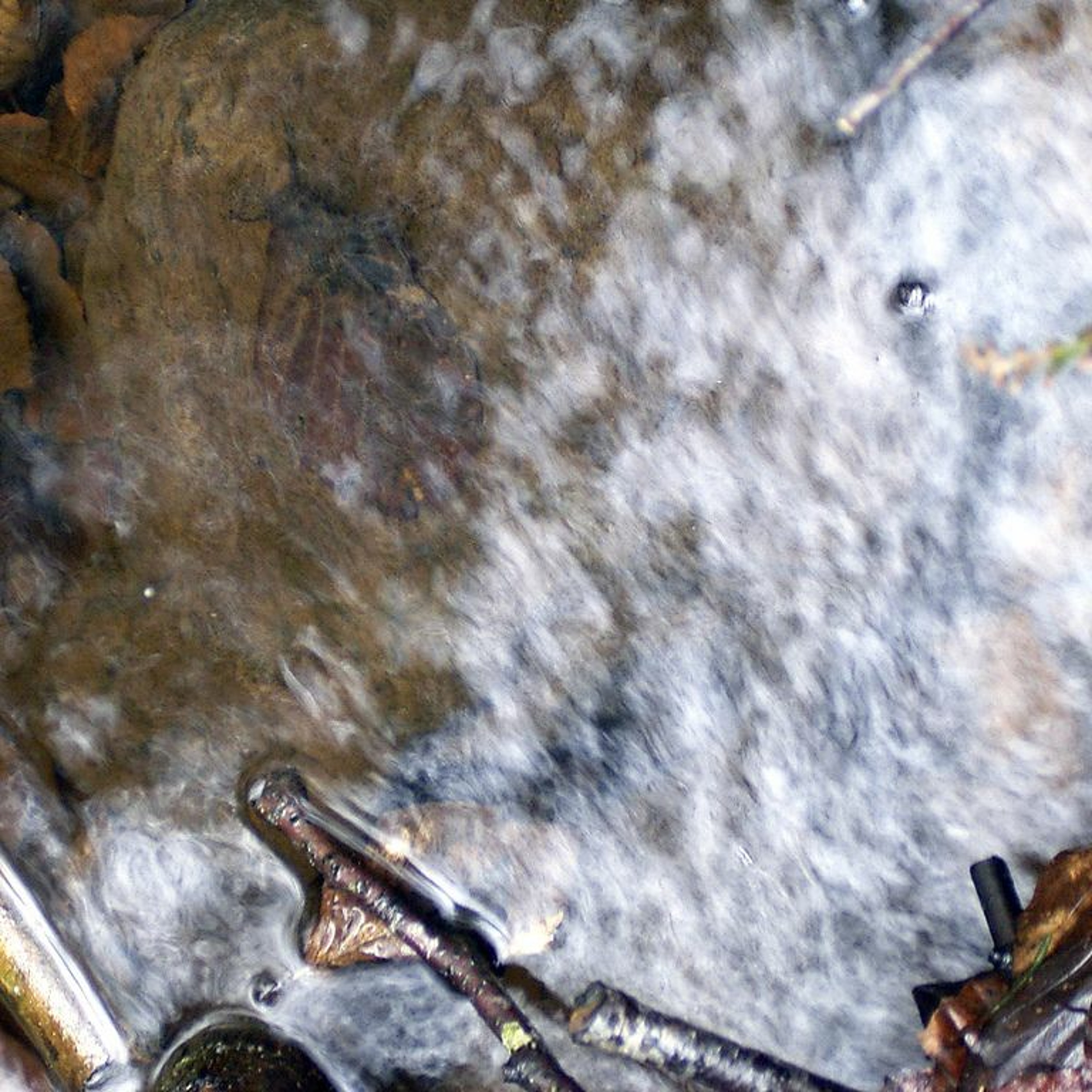 Haldon Forest Stream 2
