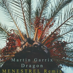 Martin Garrix - Dragon (Ayelo Remix)