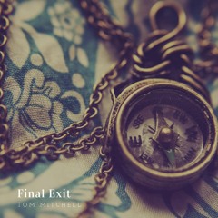 TOM MITCHELL - Final Exit