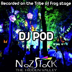 DJ Pod - Recorded on the Tribe of Frog Stage at Nozstock 2016