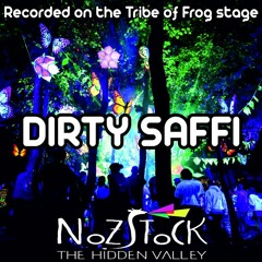Dirty Saffi - Recorded on the Tribe of Frog Stage at Nozstock 2016