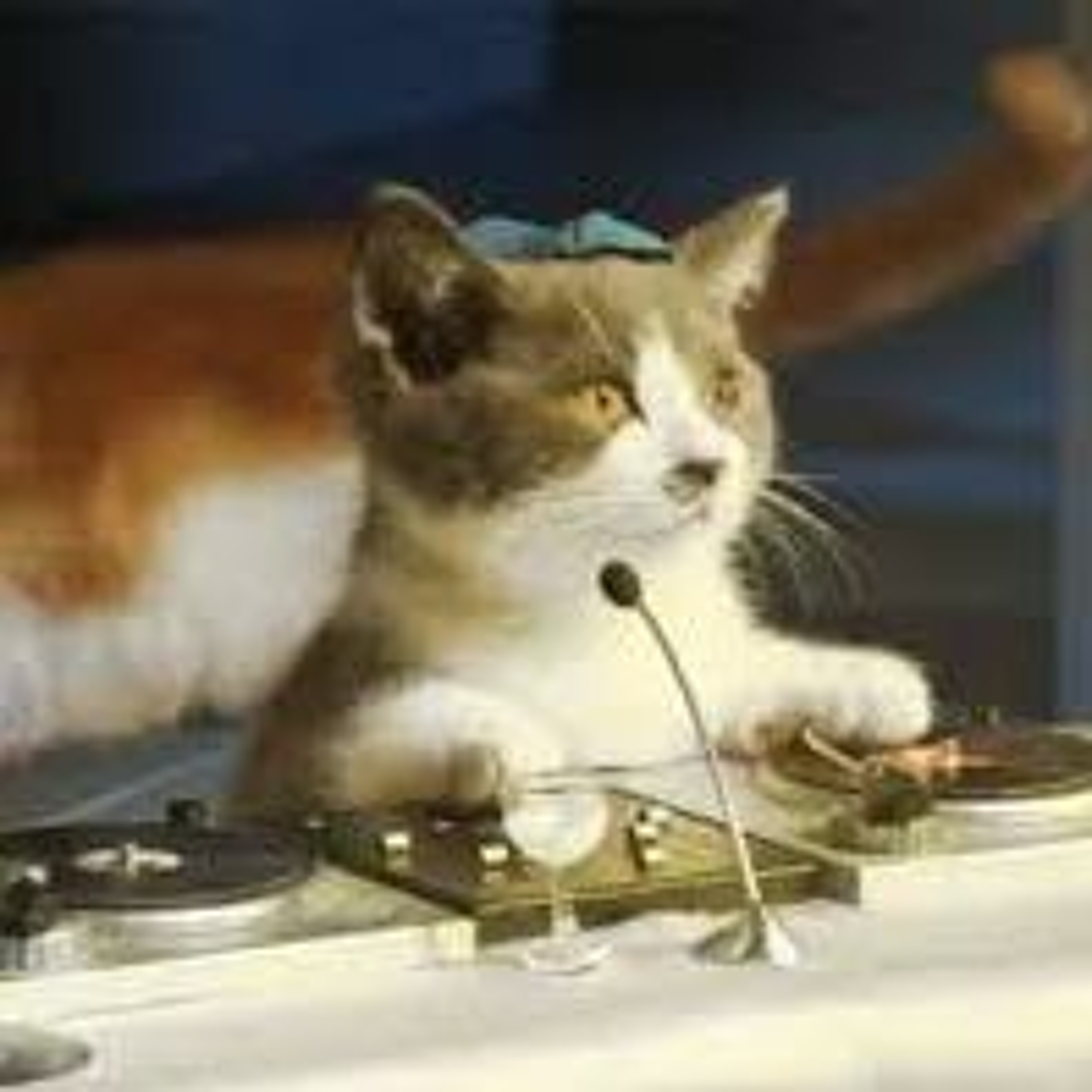 Kitty Plays Turntable episode artwork