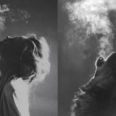 ياس خضر - يا ليل - حيل اسحن كَليبي