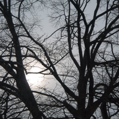 Ambient Dub