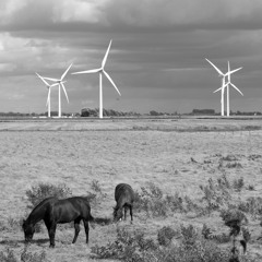 21 08 2016 Stags Holt Windfarm