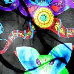 B2B TomSun - Gini Home Rave