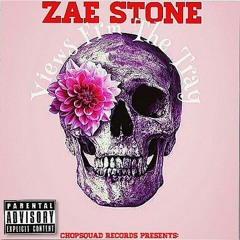 1. W.U.A.G.I.  Ft. Johnny May Cash (prod by. SPVNK)