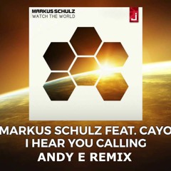 Markus Schulz Feat. Cayo - I Hear You Calling (Andy E Remix)