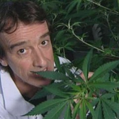 reconnait tu cette plante
