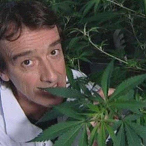 reconnait tu cette plante