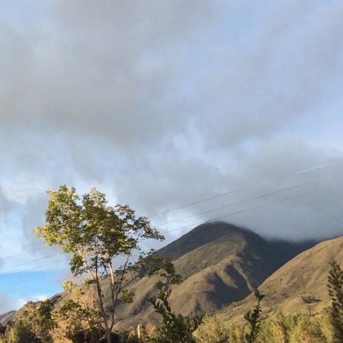 Stream Aldúo Ensamble El Campesino Embejucao By Aldúo Ensamble