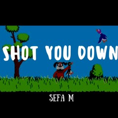 Shot You Down Remix - Sefa