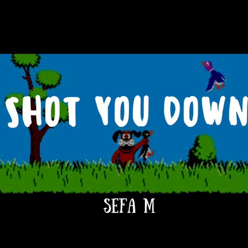Shot You Down Remix - Sefa