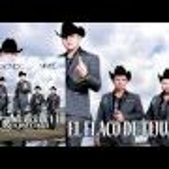 Marca Registrada - El Flaco De Tijuana ( Estudio 2016 )