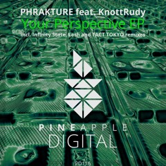 Phrakture - Your Perspective Feat. KnottRudy (Infinity State Remix)  Snippet [Pineapple Digital]