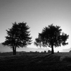 KaEmeCe' Ft. Risone - SORTE DOMINUS MEUS