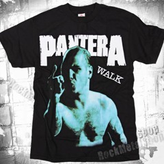 Walk (Acoustic Pantera Cover)