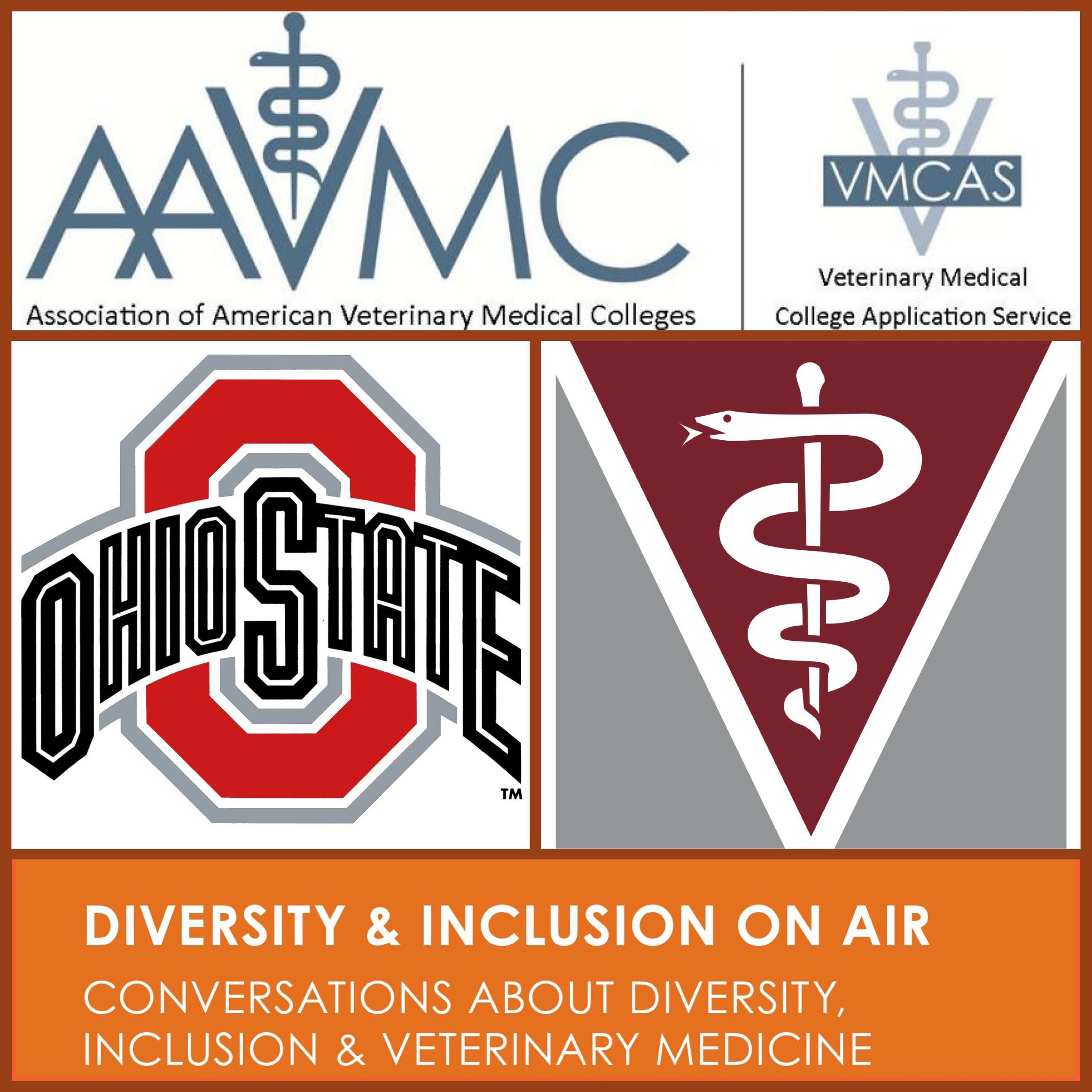 AAVMC\'s On Air: Conversations about Issues in Veterinary Medicine