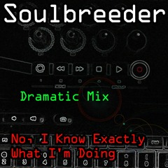 Soulbreeder - No, I Know Exactly What I'm Doing (Dramatic Mix)