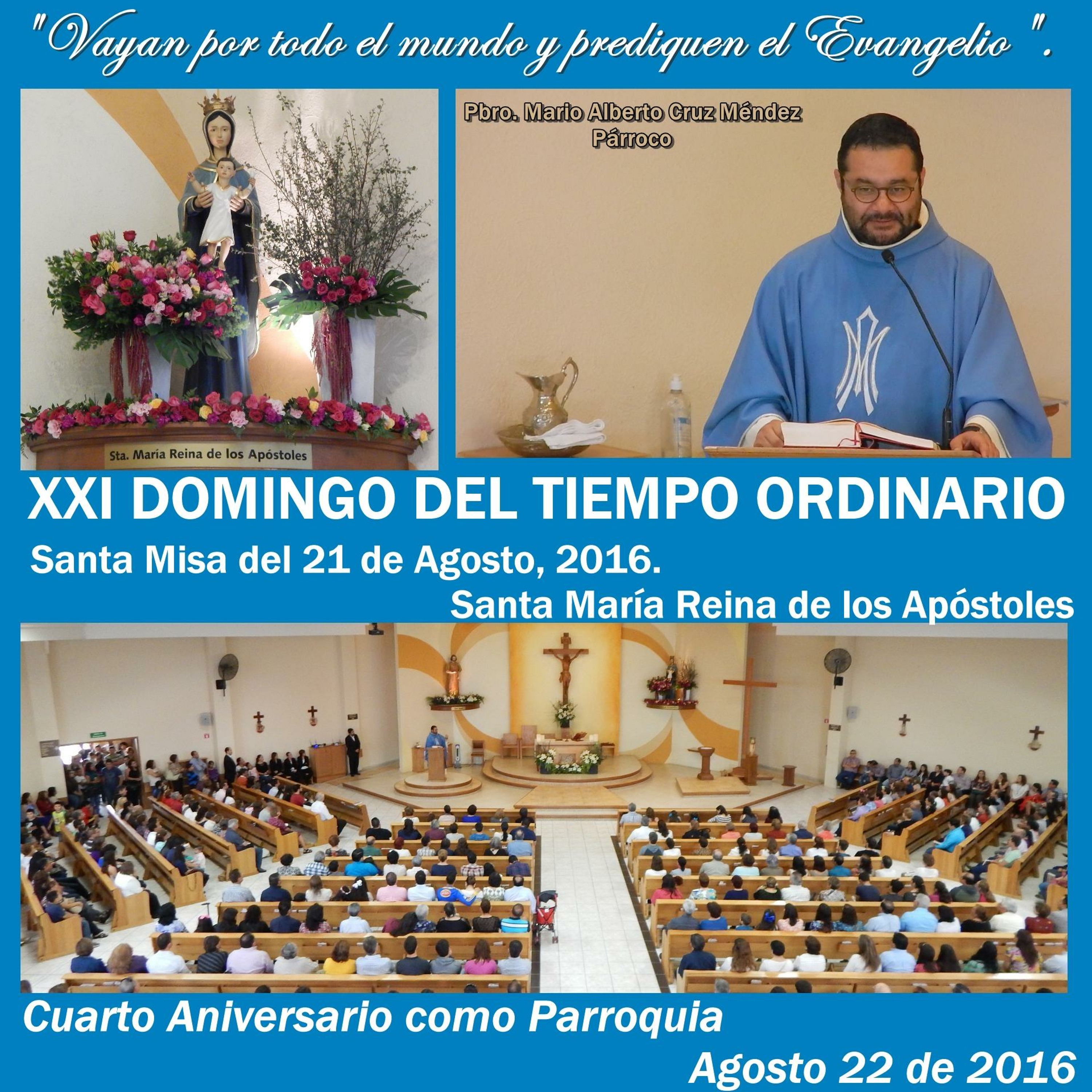 SAMARA_Saltillo #2019