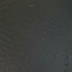 Sounds from Pazartesi morning