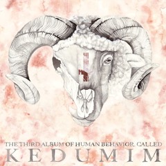 As We Remember That No Prophet Is Accepted In Their Own Country,