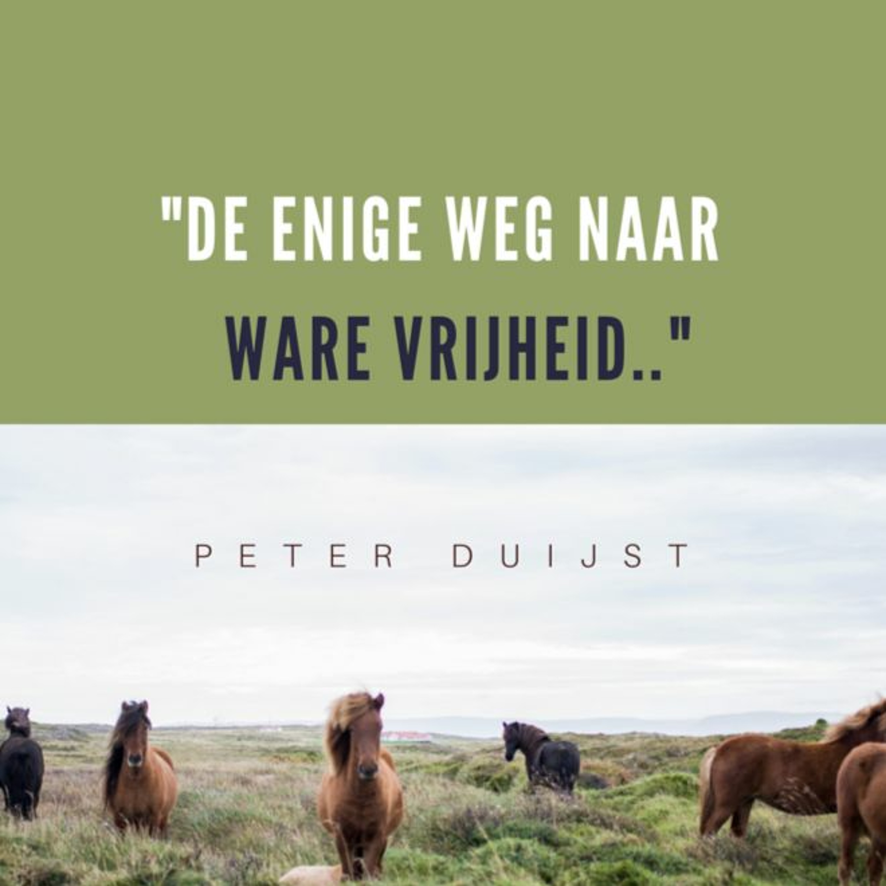 Samen Door De Bijbel
