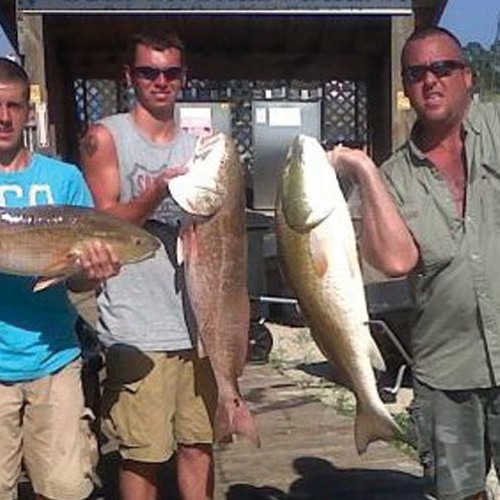 Stream Perdido Key Charter Boats by Fishing In Gulf Shores Listen