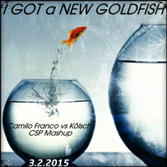 I Got A New "Goldfisch" Camilo Franco vs Kölsch - C:Sounds:Project CSP (Mashup)