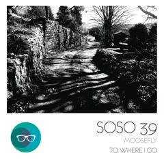 To Where I Go feat. Iain Howie EP // SOSO