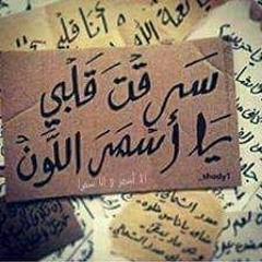 محمد علاء عزف الباهى محمد ضيف الله حفله نوبه نوتو 2016