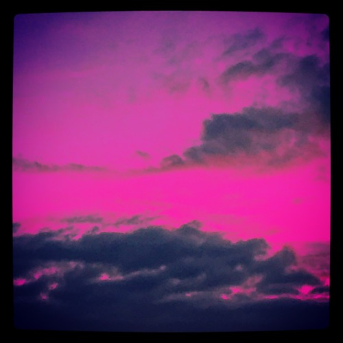 **FREE** Alive - Broken Spectrum's 20 Years of Homework Reconstruction