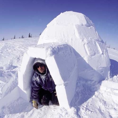 Igloo slowed down